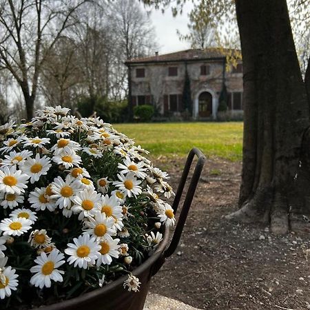 Agriturismo Corte San Girolamo Мантуя Экстерьер фото