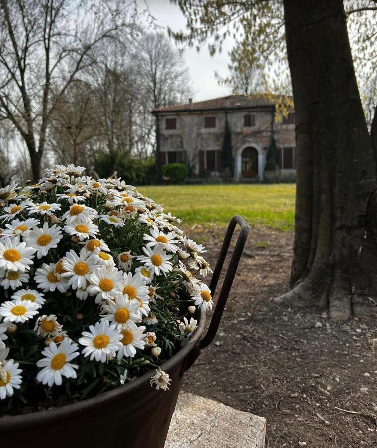 Agriturismo Corte San Girolamo Мантуя Экстерьер фото