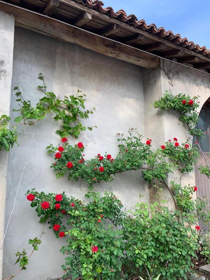Agriturismo Corte San Girolamo Мантуя Экстерьер фото