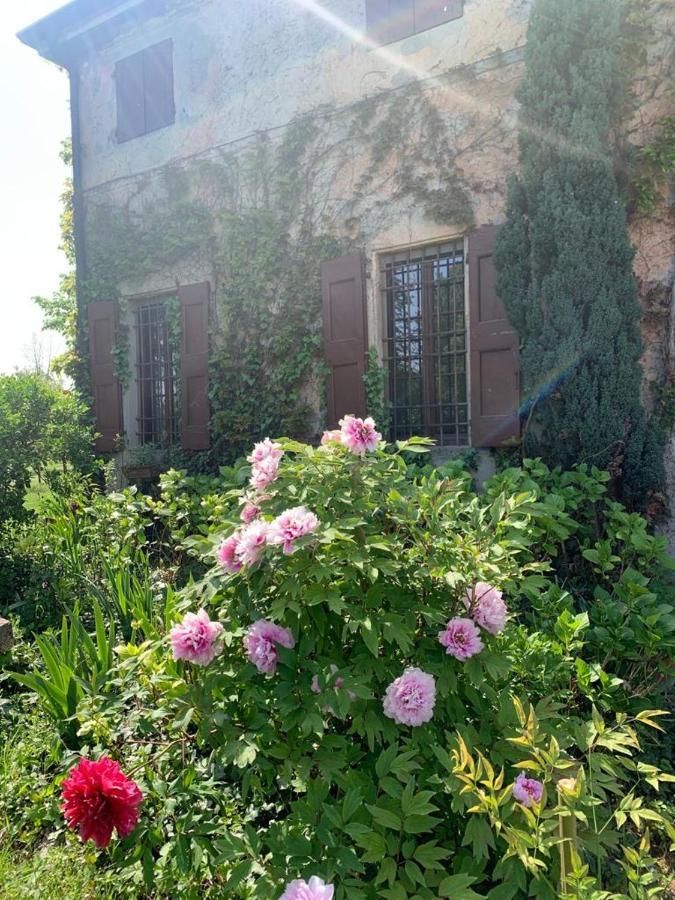 Agriturismo Corte San Girolamo Мантуя Экстерьер фото