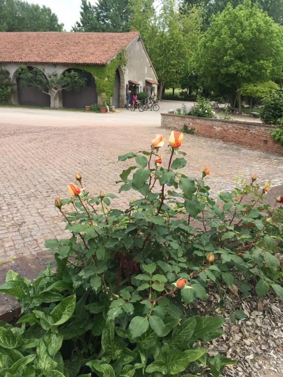 Agriturismo Corte San Girolamo Мантуя Экстерьер фото