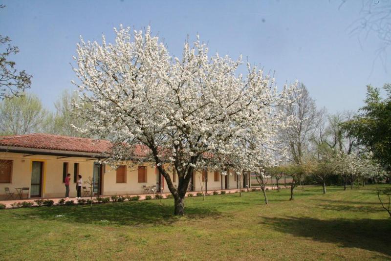 Agriturismo Corte San Girolamo Мантуя Экстерьер фото